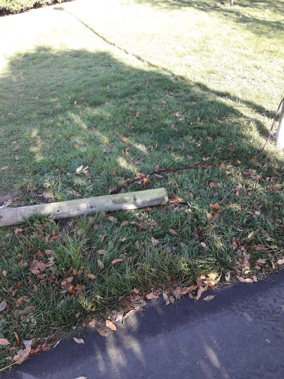 The photograph attached to this parks report