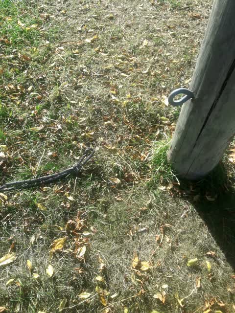 Parks — a report photo