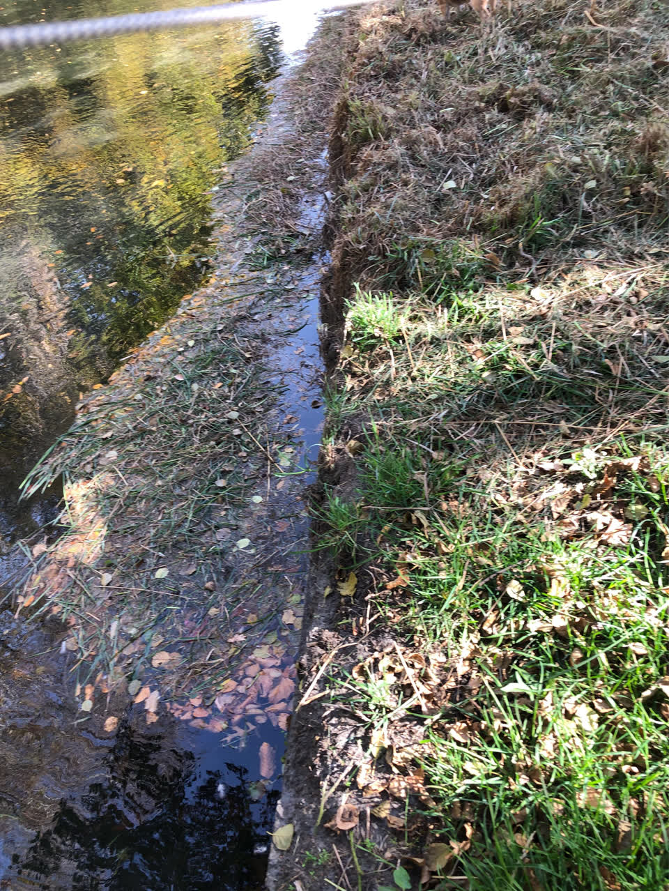 The photograph attached to this parks report