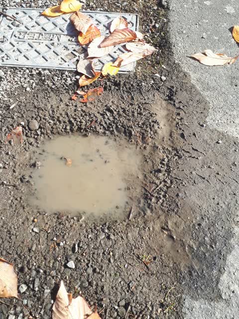 Water Supply, a report photo