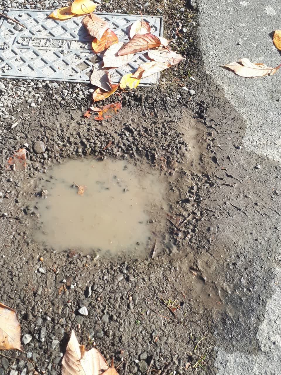 The photograph attached to this water supply report