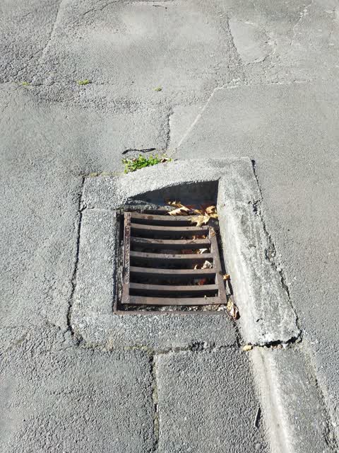 Roading/Streets, a report photo