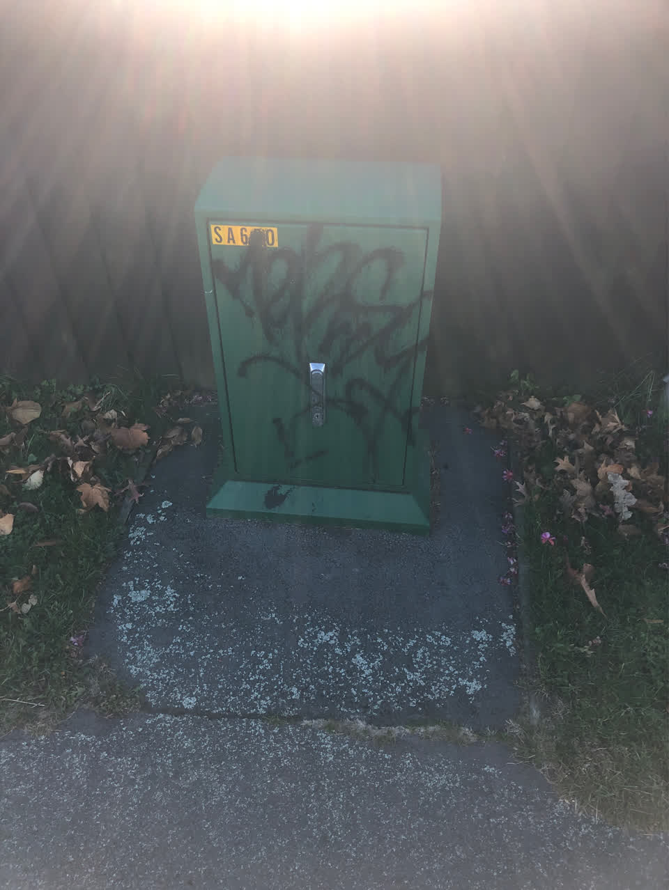 The photograph attached to this graffiti report