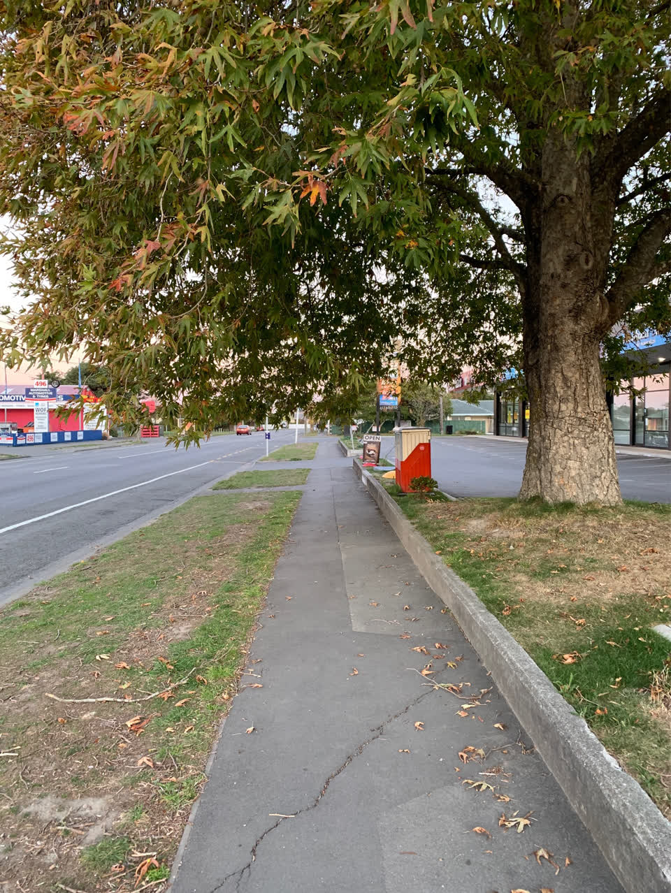 The photograph attached to this parks report
