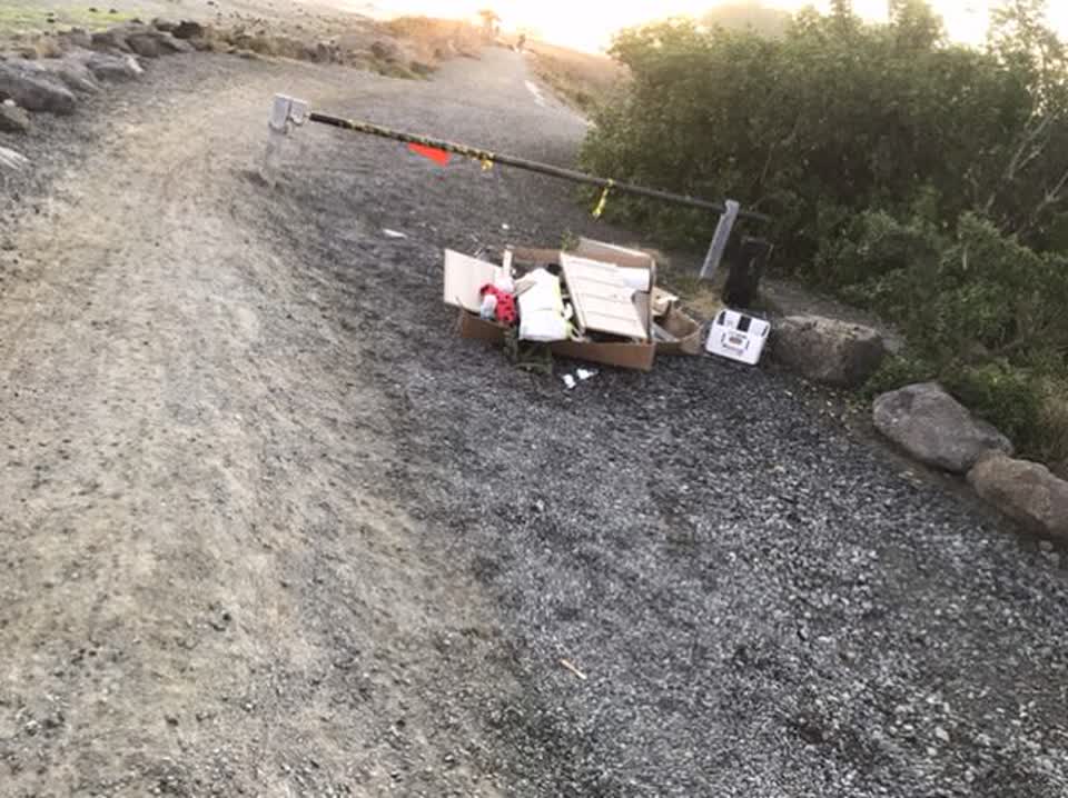 The photograph attached to this parks report