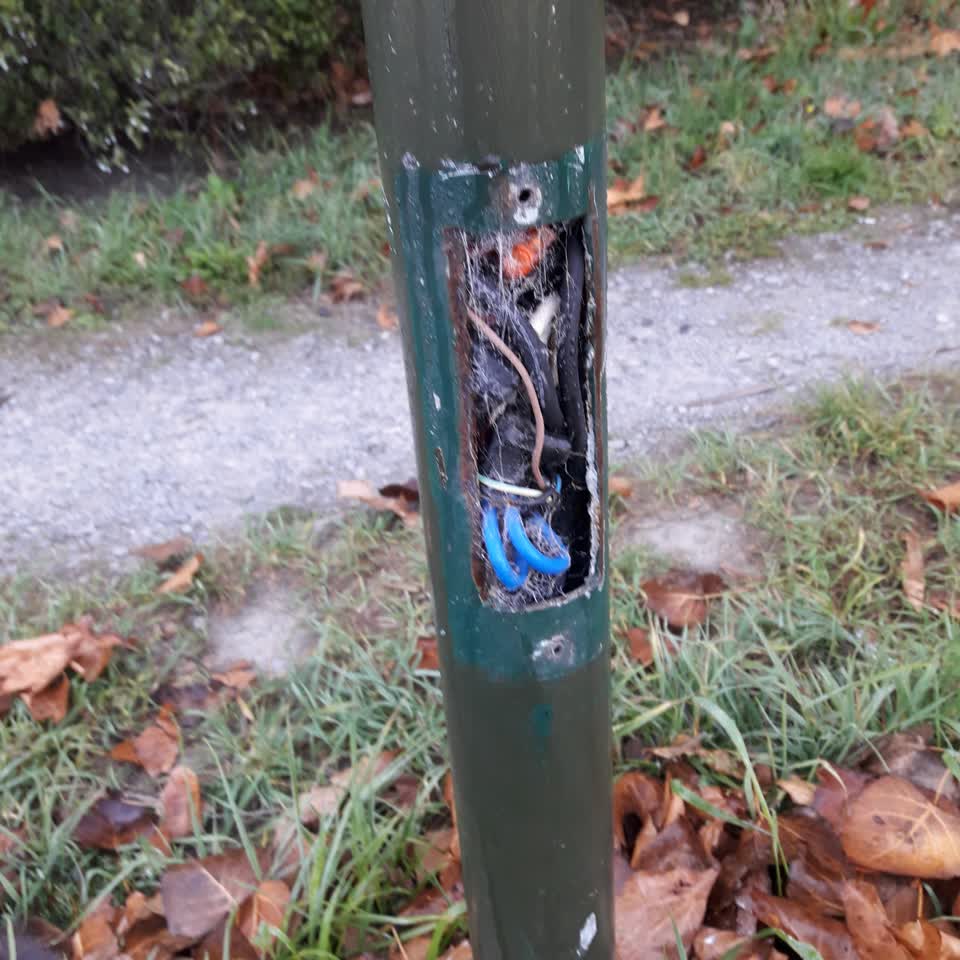 The photograph attached to this parks report