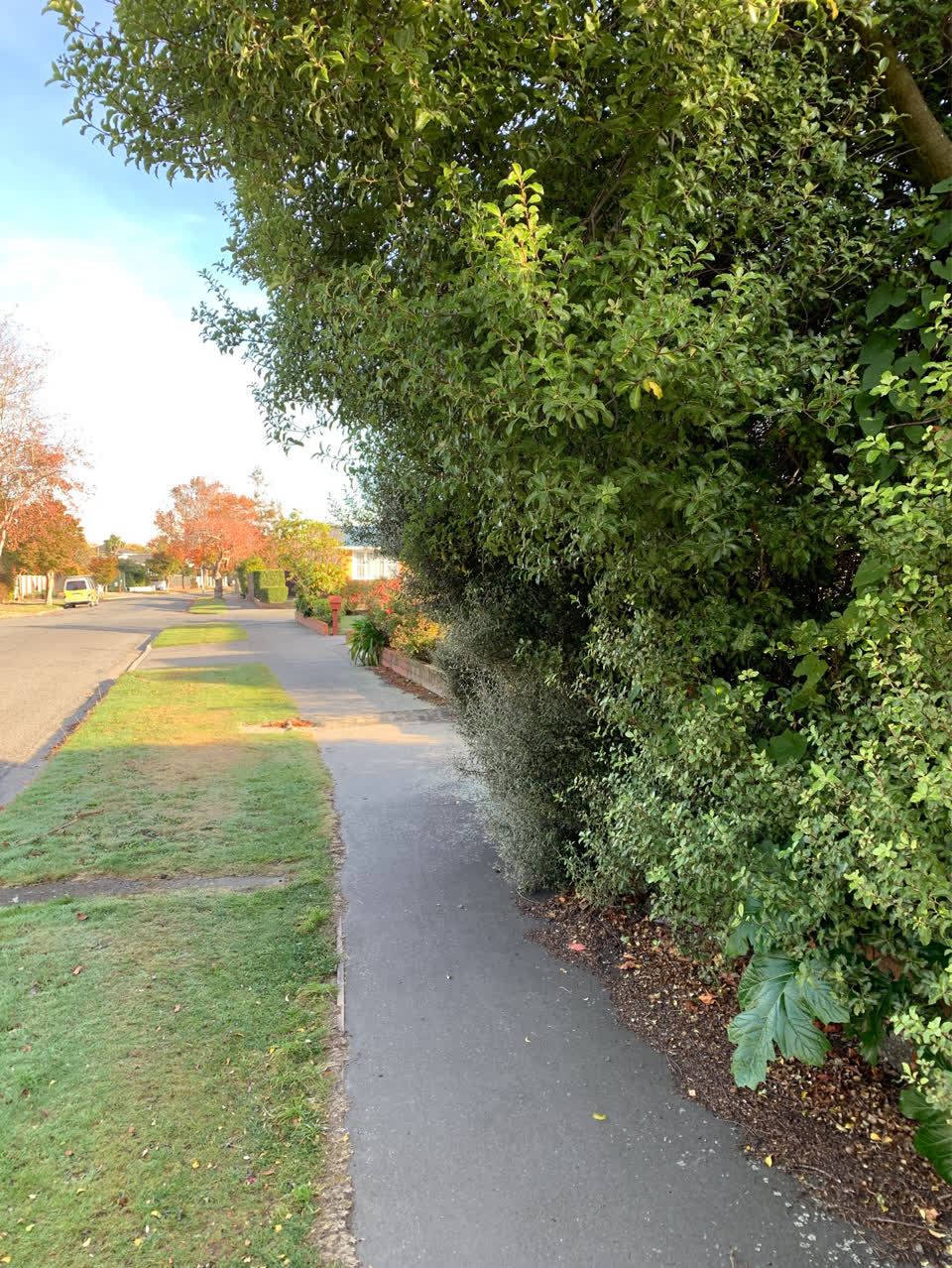 The photograph attached to this parks report