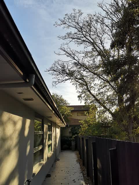 Parks, a report photo