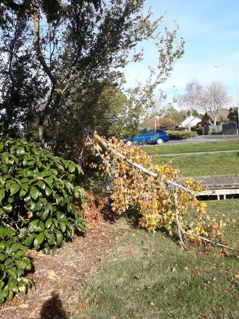 Parks, a report photo