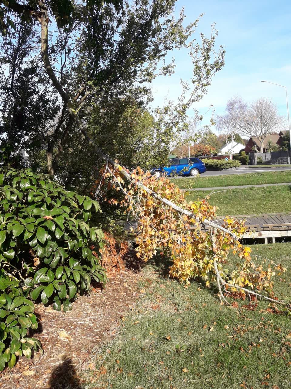 The photograph attached to this parks report