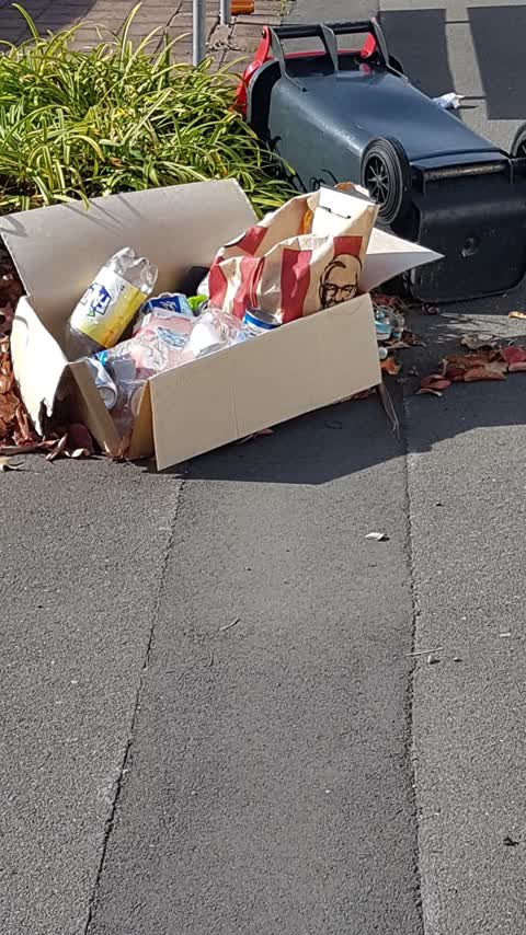 Rubbish/Recycling, a report photo