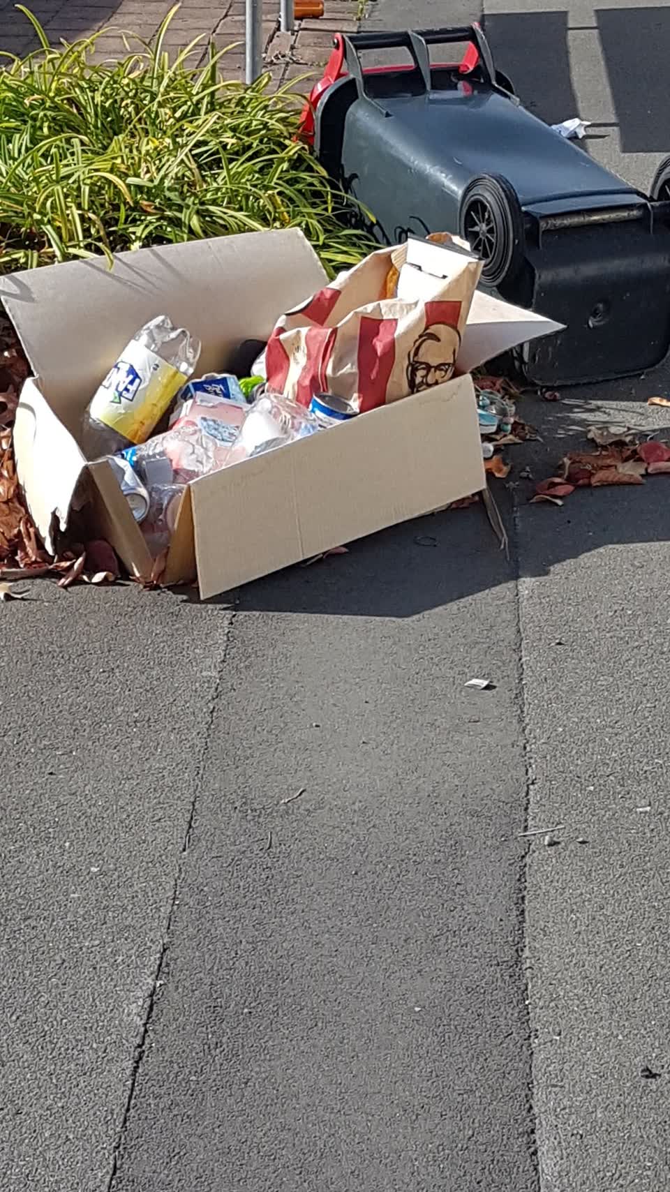 The photograph attached to this rubbish/recycling report
