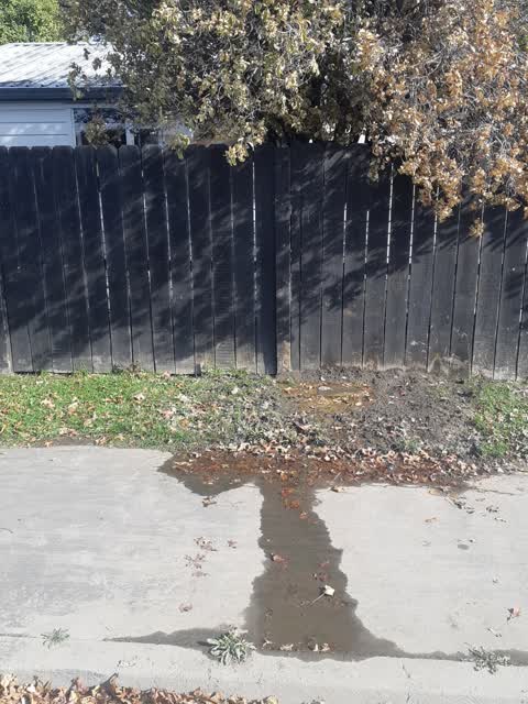 Water Supply, a report photo