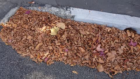 Wastewater/Stormwater, a report photo