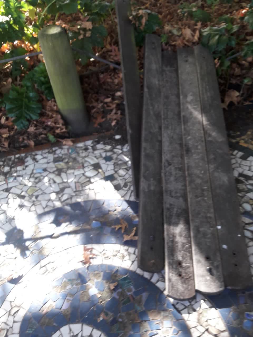 The photograph attached to this parks report