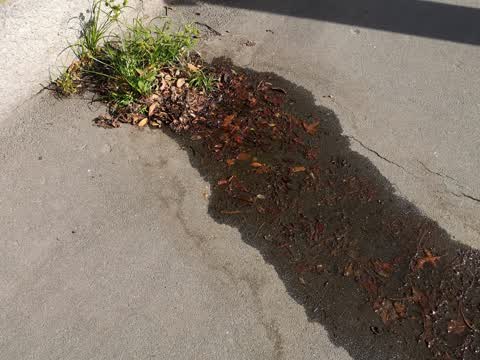 Water Supply, a report photo