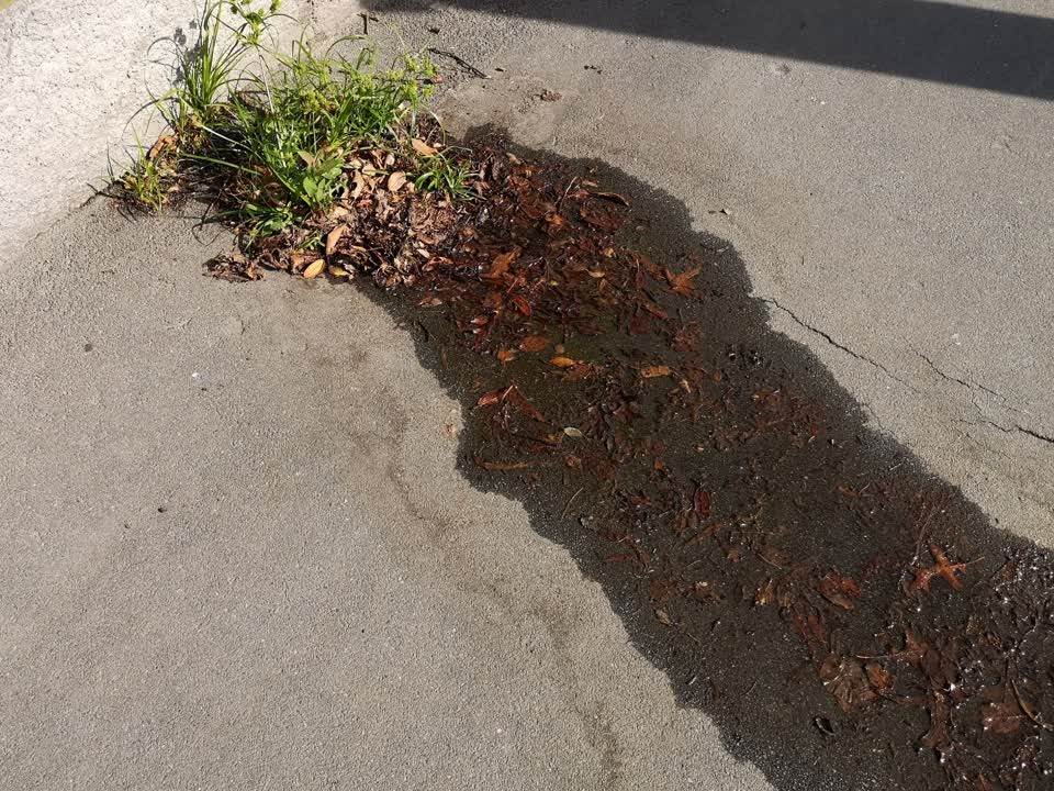 The photograph attached to this water supply report