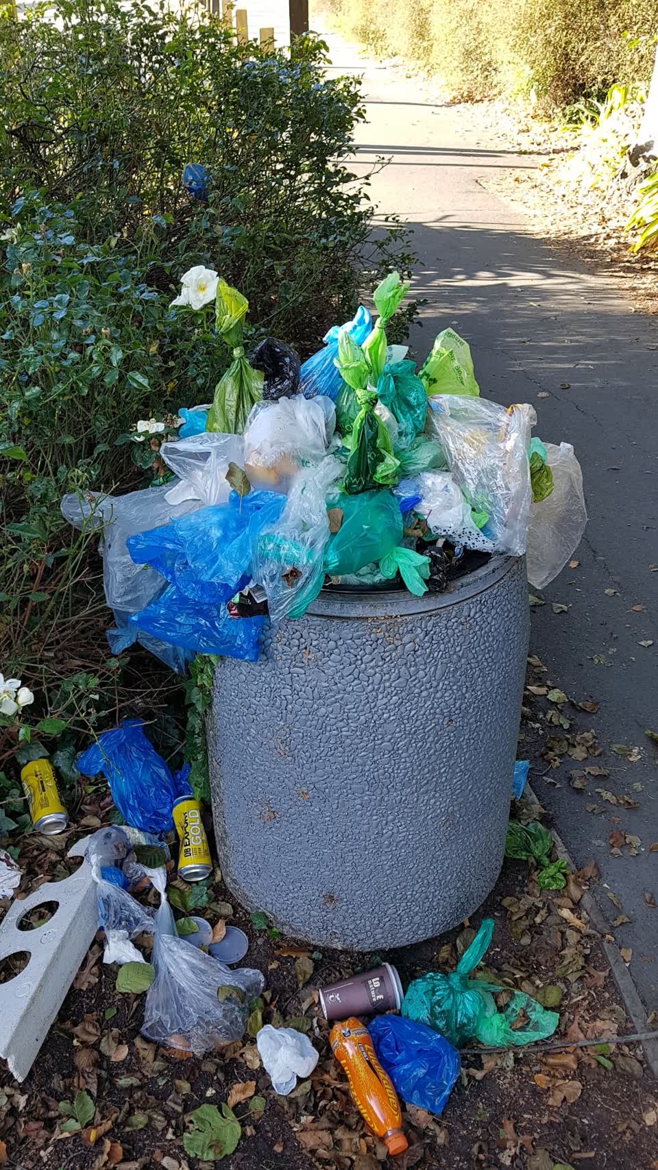 The photograph attached to this parks report