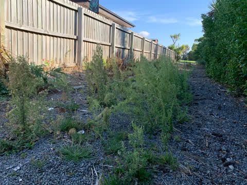 Parks, a report photo