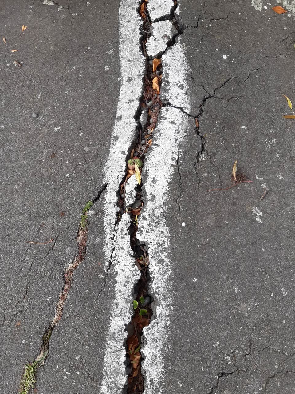 The photograph attached to this roading/streets report