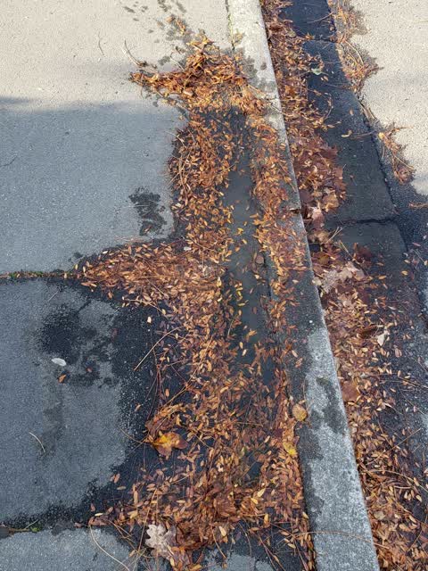 Water Supply, a report photo