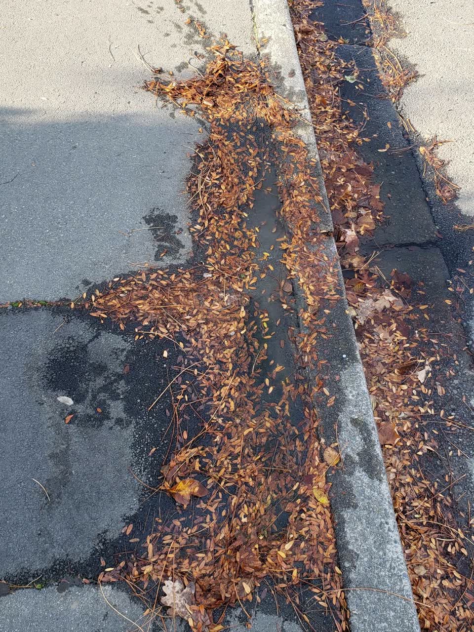 The photograph attached to this water supply report