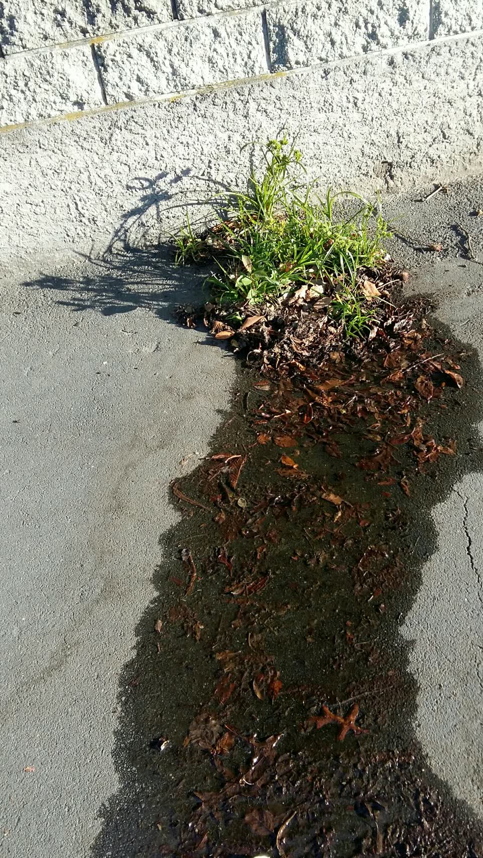 The photograph attached to this water supply report