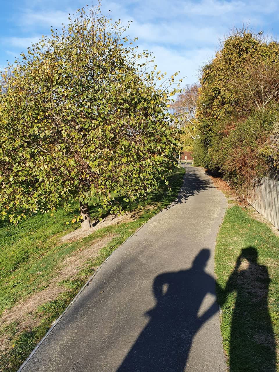 The photograph attached to this parks report
