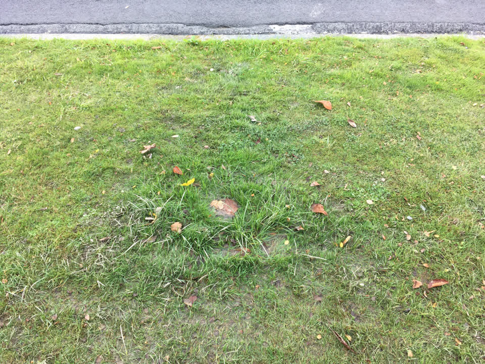 The photograph attached to this water supply report