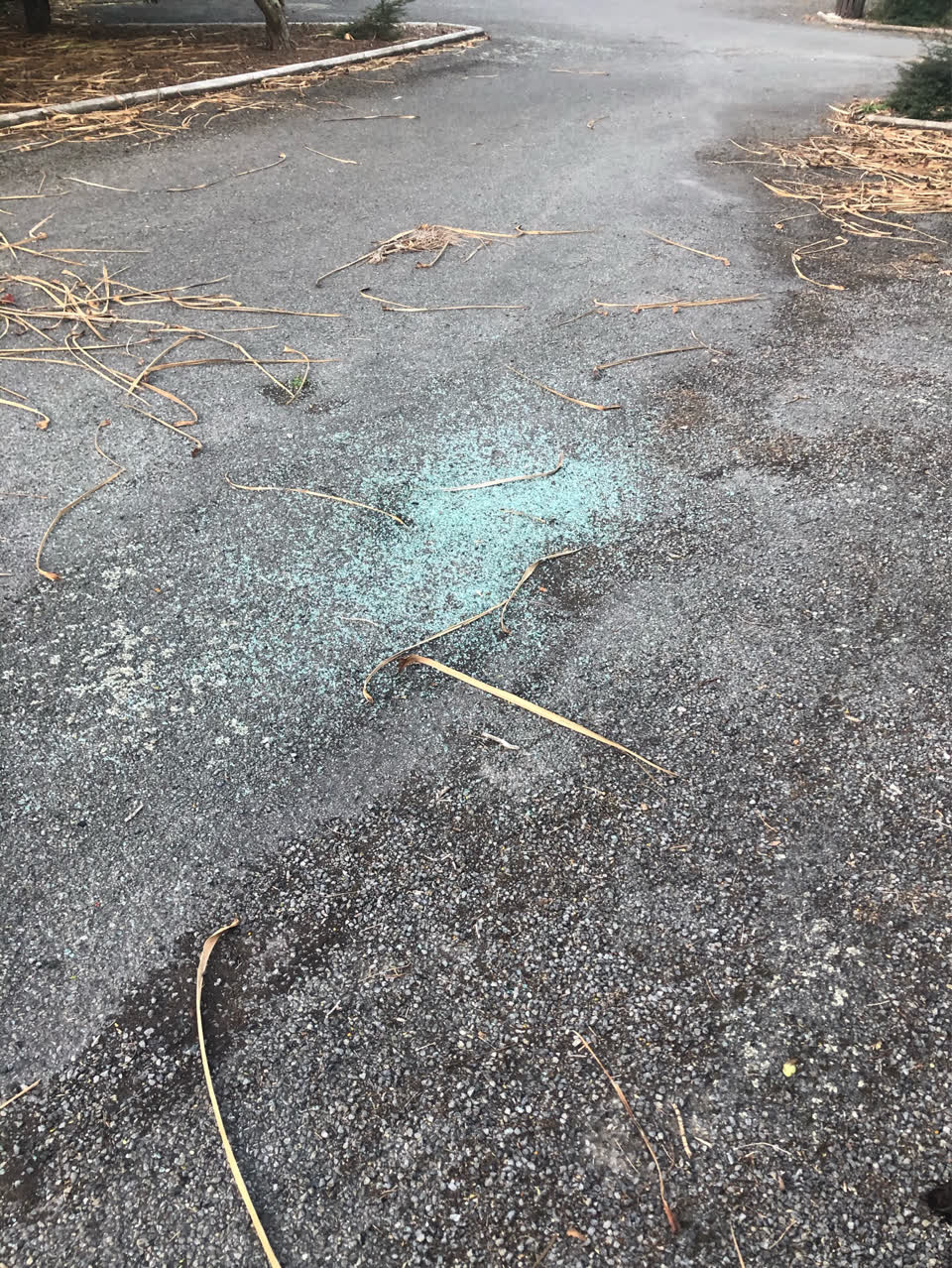 The photograph attached to this parks report