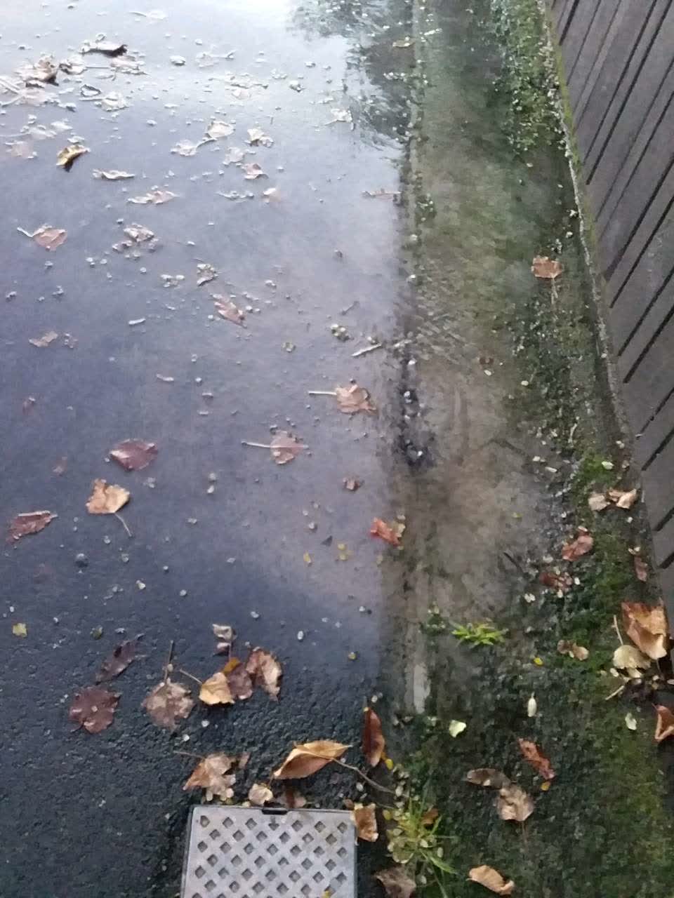 The photograph attached to this water supply report