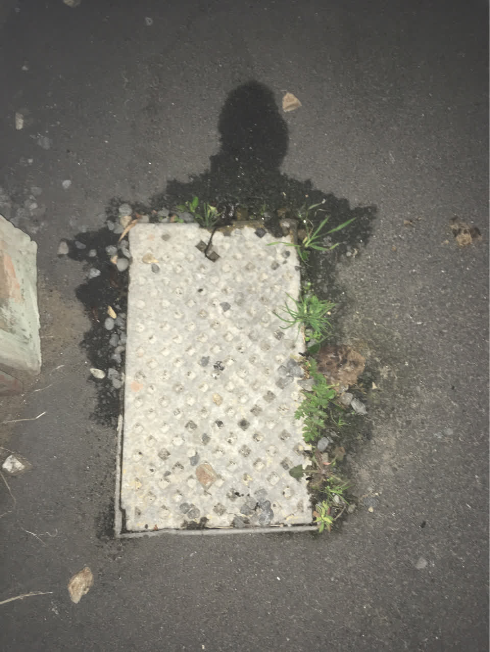 The photograph attached to this water supply report