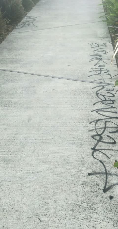 Graffiti, a report photo