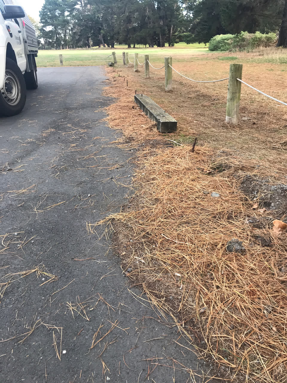 The photograph attached to this parks report