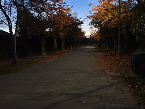 Parks, a report photo