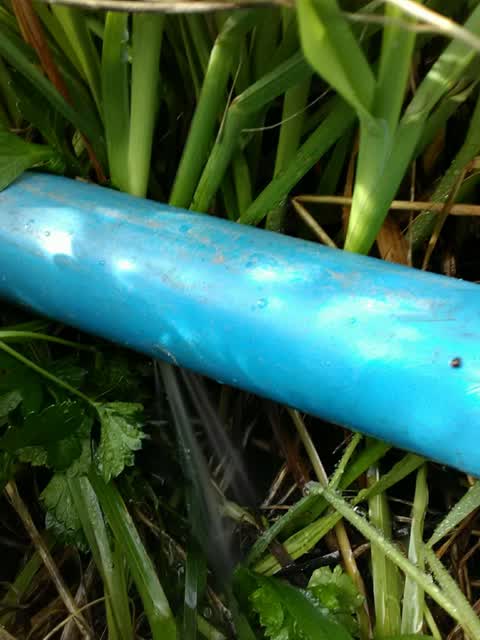 Water Supply, a report photo