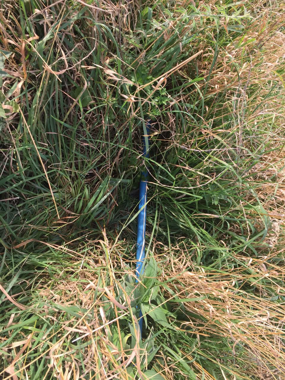 The photograph attached to this water supply report