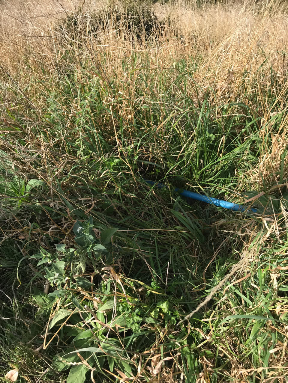 The photograph attached to this water supply report