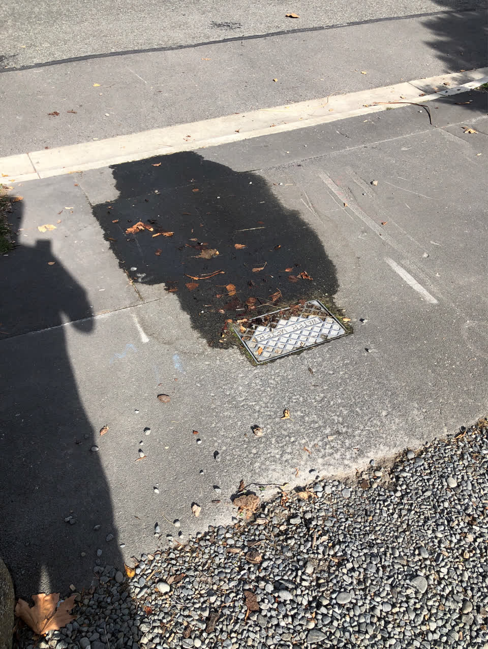 The photograph attached to this water supply report