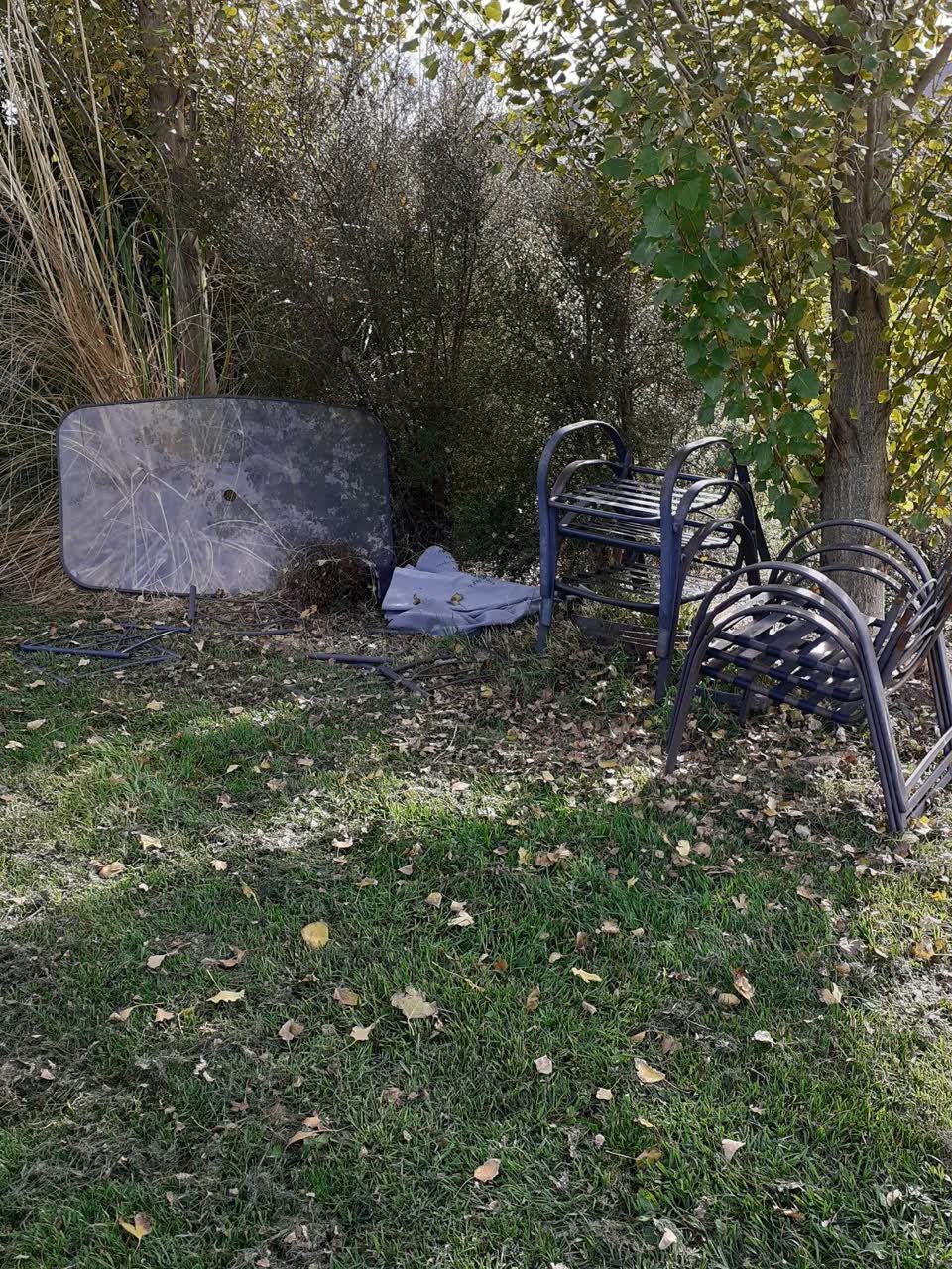 The photograph attached to this parks report