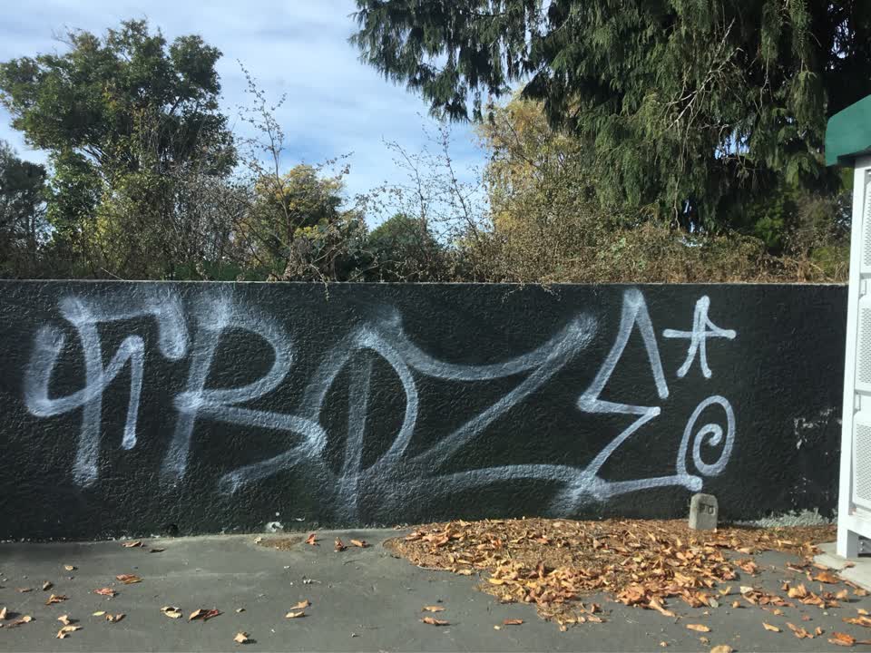 The photograph attached to this graffiti report