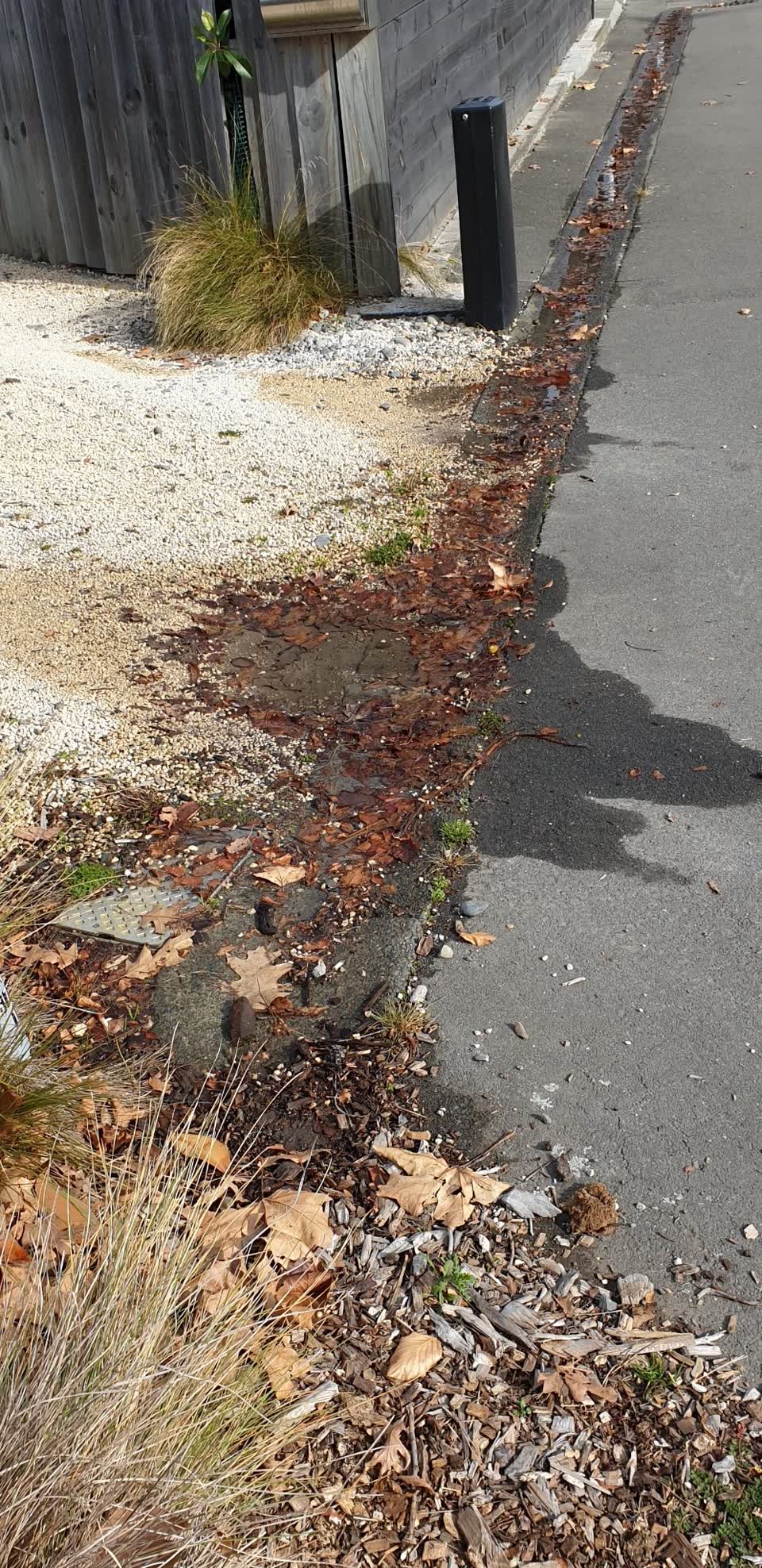 The photograph attached to this water supply report