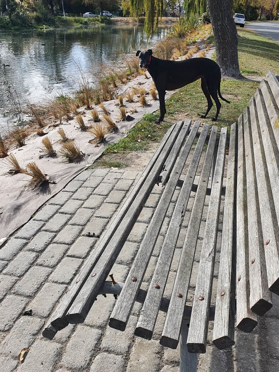 The photograph attached to this parks report