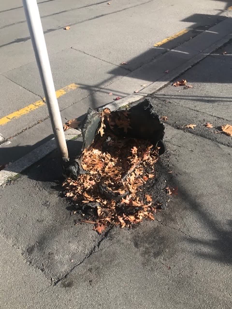 The photograph attached to this rubbish/recycling report