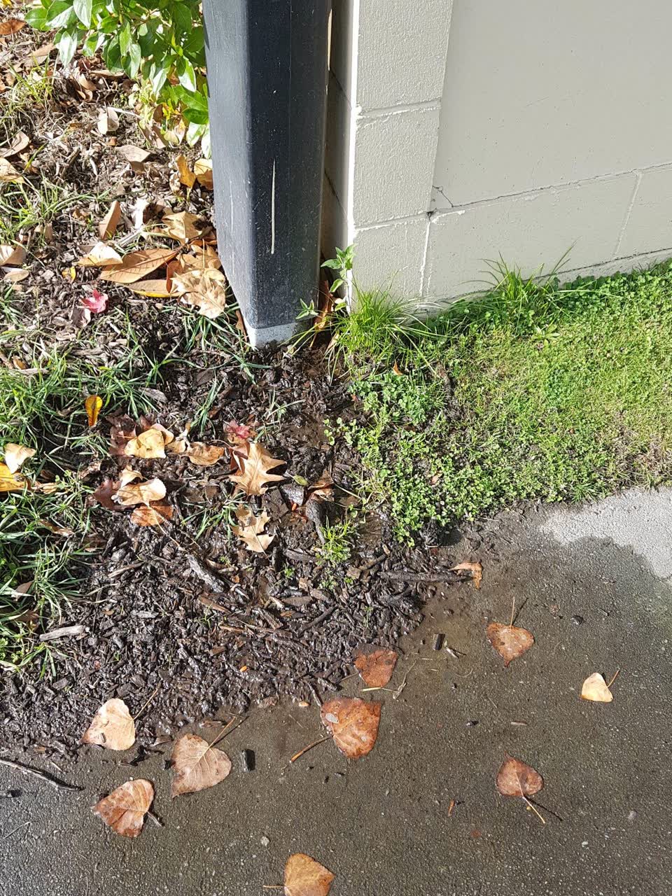 The photograph attached to this water supply report