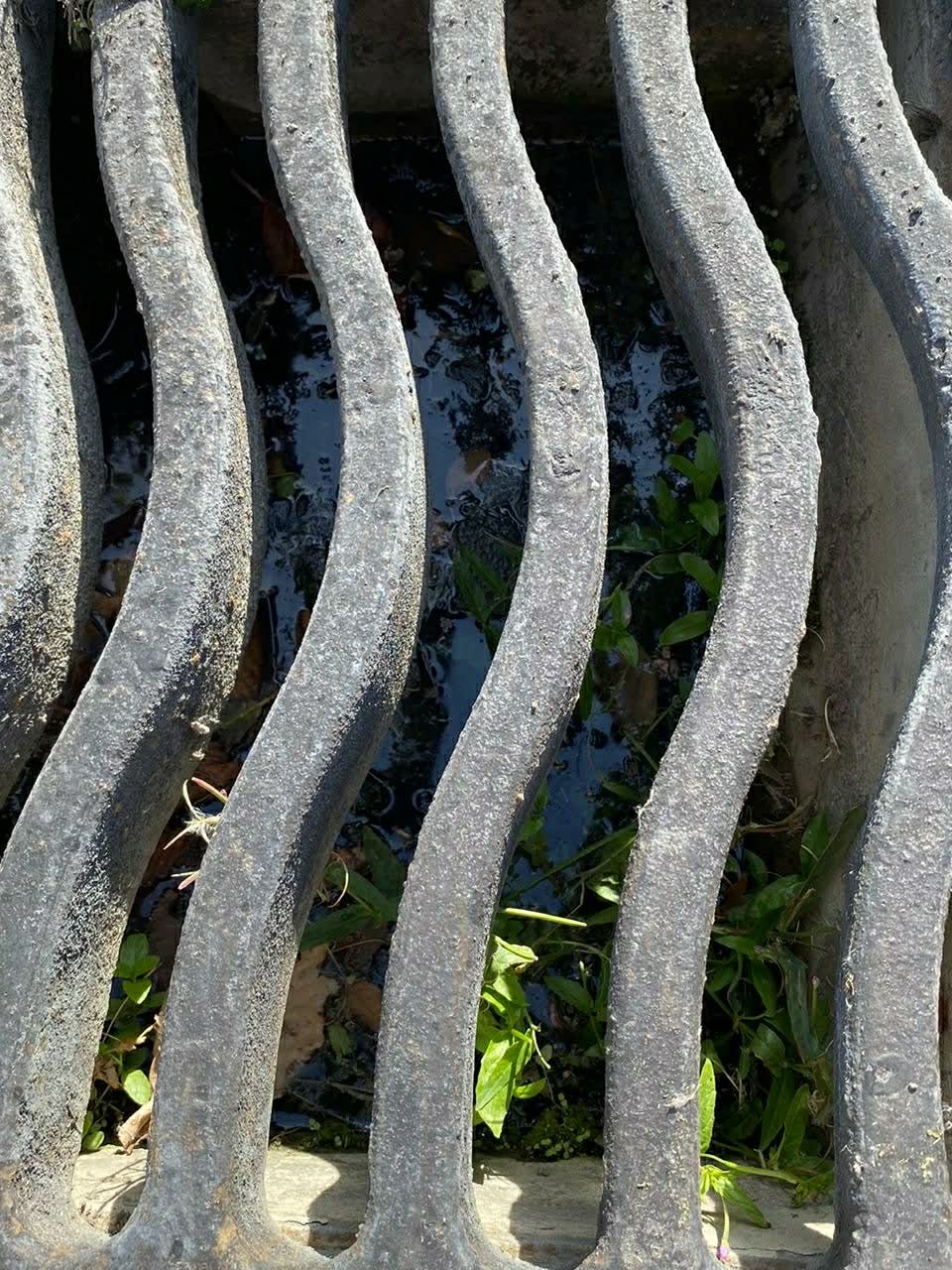 The photograph attached to this wastewater/stormwater report