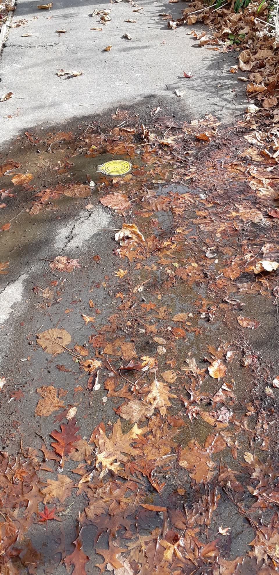 The photograph attached to this water supply report