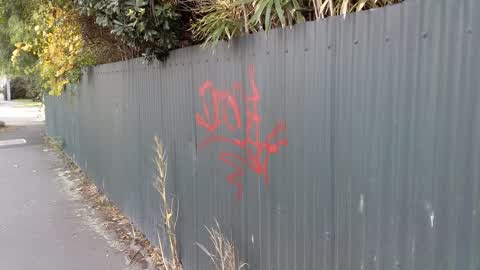 Graffiti, a report photo