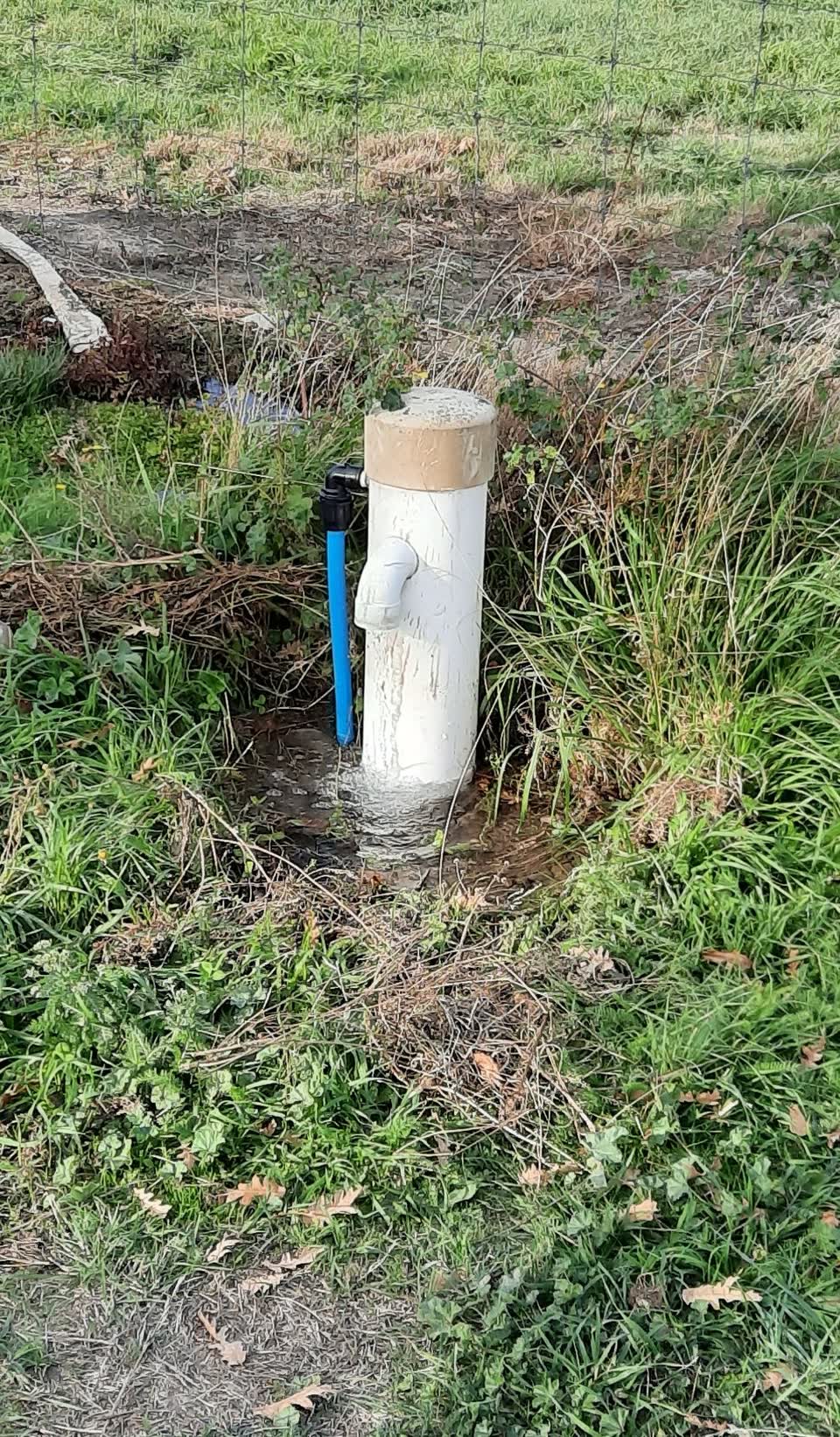 The photograph attached to this water supply report