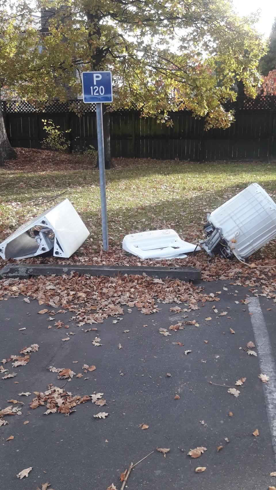 The photograph attached to this parks report